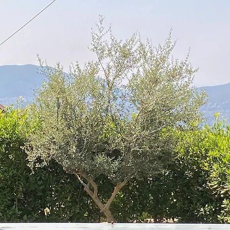 ληγάτο House Holiday home